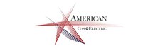 American Gas and  Electric Group