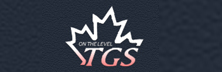 Tank Gauging Systems Inc.