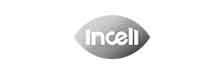 INCELL International | Energy Tech Review | 