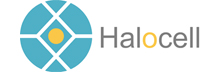 Halocell Energy - Top Solar Energy Solutions Provider in Apac Halocell Energy