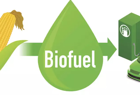 How Hemp Can be an Alternative Resource to Biofuel?